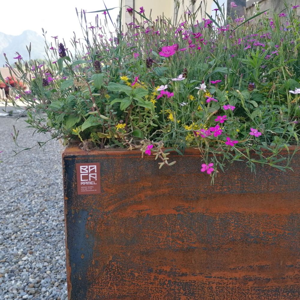 Corten pour les jardins du souvenir.